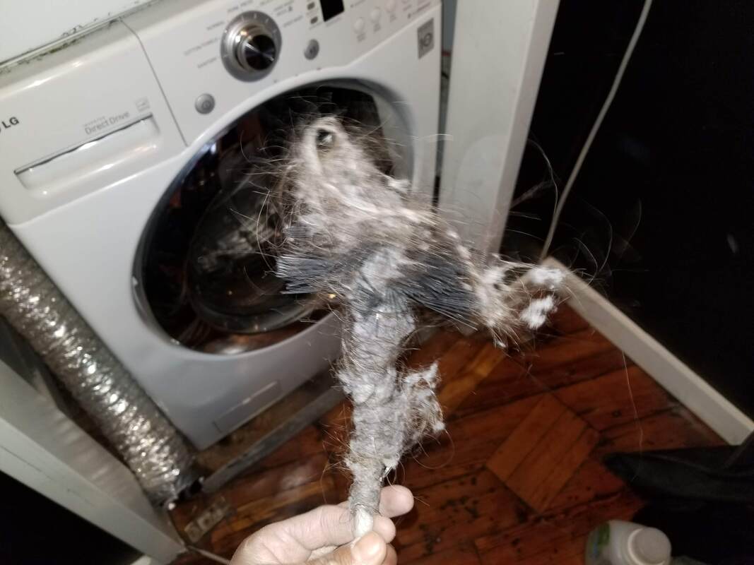 Dryer Vent Cleaning Charlotte NC