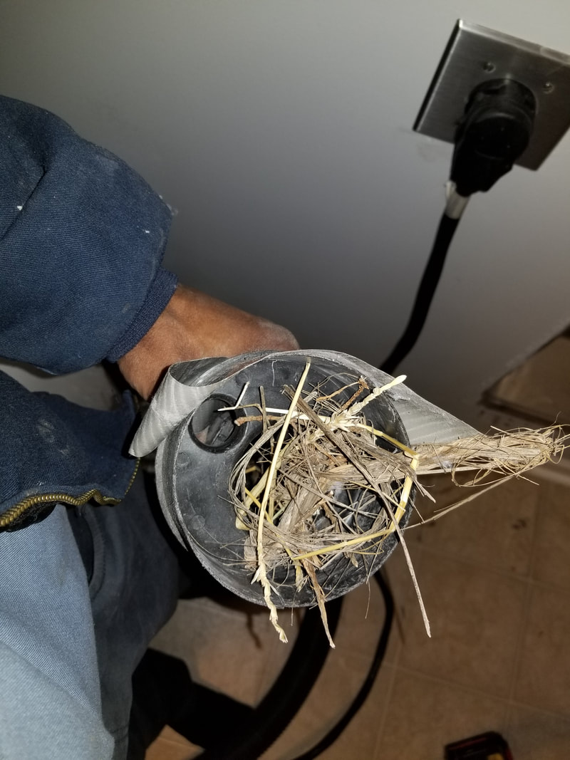 Dryer Vent Bird Nest Removal